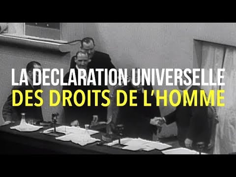 la-déclaration-universelle-des-droits-de-l'homme-(1948)