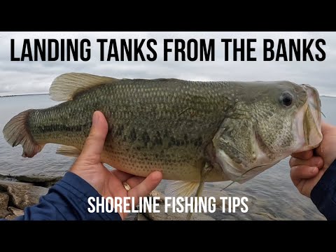 Bank Fishing 