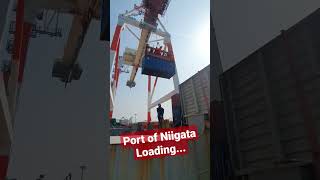 PORT OF NIIGATA, LOADING... 20' #shorts #container #japan #ship