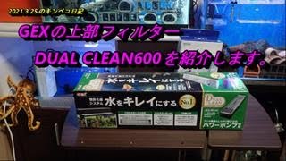 2021.3.25のキンペコ日記：GEXの上部フィルター『デュアル・クリーン600』の紹介映像