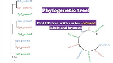 Plot a custom colored phylogenetic tree| R for biologists | ggtree | learn by solving!