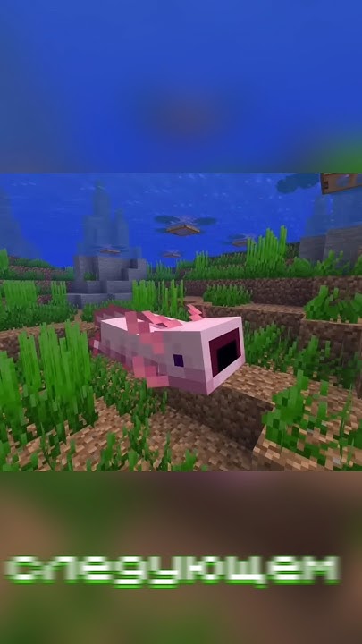 САМЫЙ РЕДКИЙ АКСОЛОТЛЬ В МАЙНКРАФТЕ #shots #майнкрафт #minecraft #майн ...