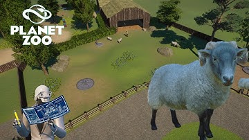 Hill Radnor Sheep Habitat (Planet Zoo Speed build)