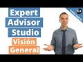 0 expert advisor studio  visin general