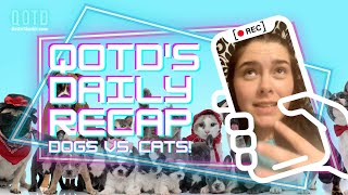 Qotds Daily Recap Dogs Vs. Cats Watch, Vote, Record, Be On The Air