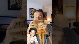 Daniela - Jhonny Arce / Rodolfo Aicardi ( Version Zampoña) #flautaindígena #flute #flauta