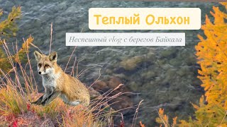 видео: Бабье лето на Байкале | Золотой час, костёр и лиса картинка: Бабье лето на Байкале | Золотой час, костёр и лиса