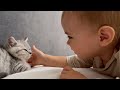 Adorable baby touched the kitten and this happened