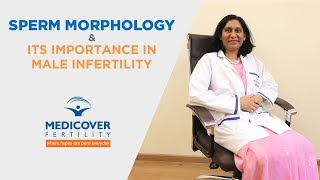 Sperm Morphology & Its Importance in Male Infertility