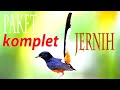 Masteran Murai Batu Paling Dasyat Untuk Murai Trotol Kenari Cililin Kapas Tembak Srindit Dll Mp3 - Mp4 Download