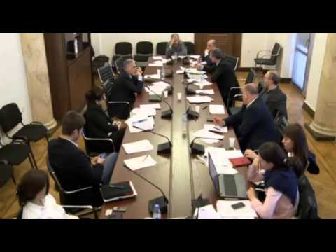 შალვა შავგულიძე იურიდიულ საქმეთა კომიტეტზე