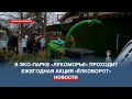 В севастопольском эко-парке «Лукоморье» новогодним ёлкам дарят вторую жизнь