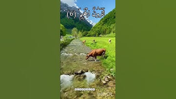 سورة التكاثر بدر التركي