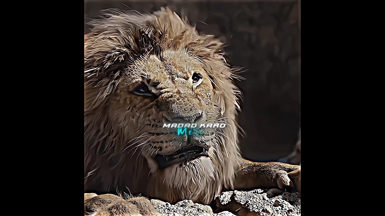 "Mufasa ka Anjam 💔 | Lion King ka sab se dukh bhara manzar"#TheLionKing#Mufasa #Scar#EmotionalScene