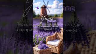 Доброе утро.#доброеутро#пожеланиядоброгоутра #piano#цитаты#мотивация#открытки#music