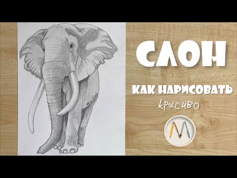 Как нарисовать СЛОНА поэтапно / Drawing Elephant