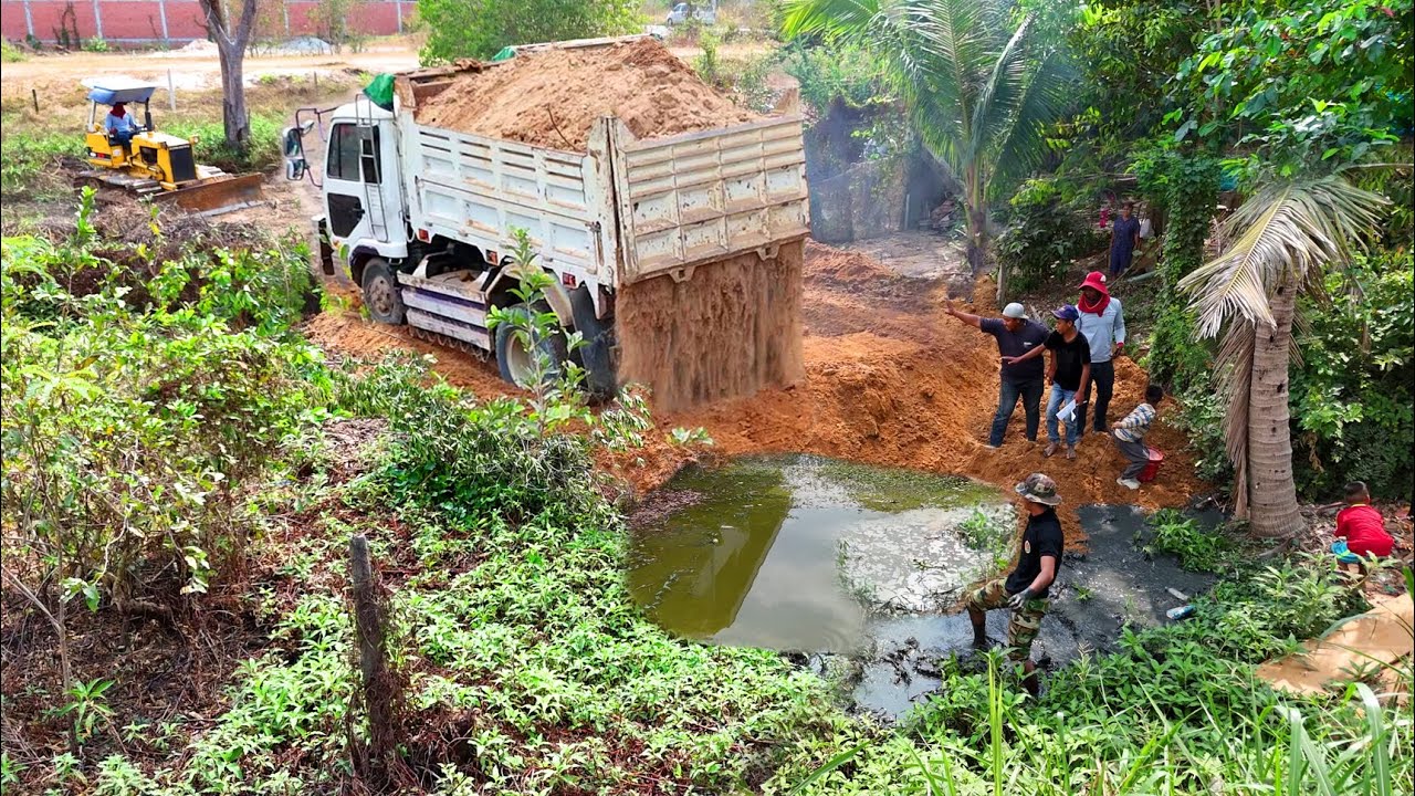 Start A Great Project! Landfill Using Bulldozer Push Soil IntoWater With Dump Truck 5Ton Unloading