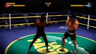 EA Sports: MMA - Review