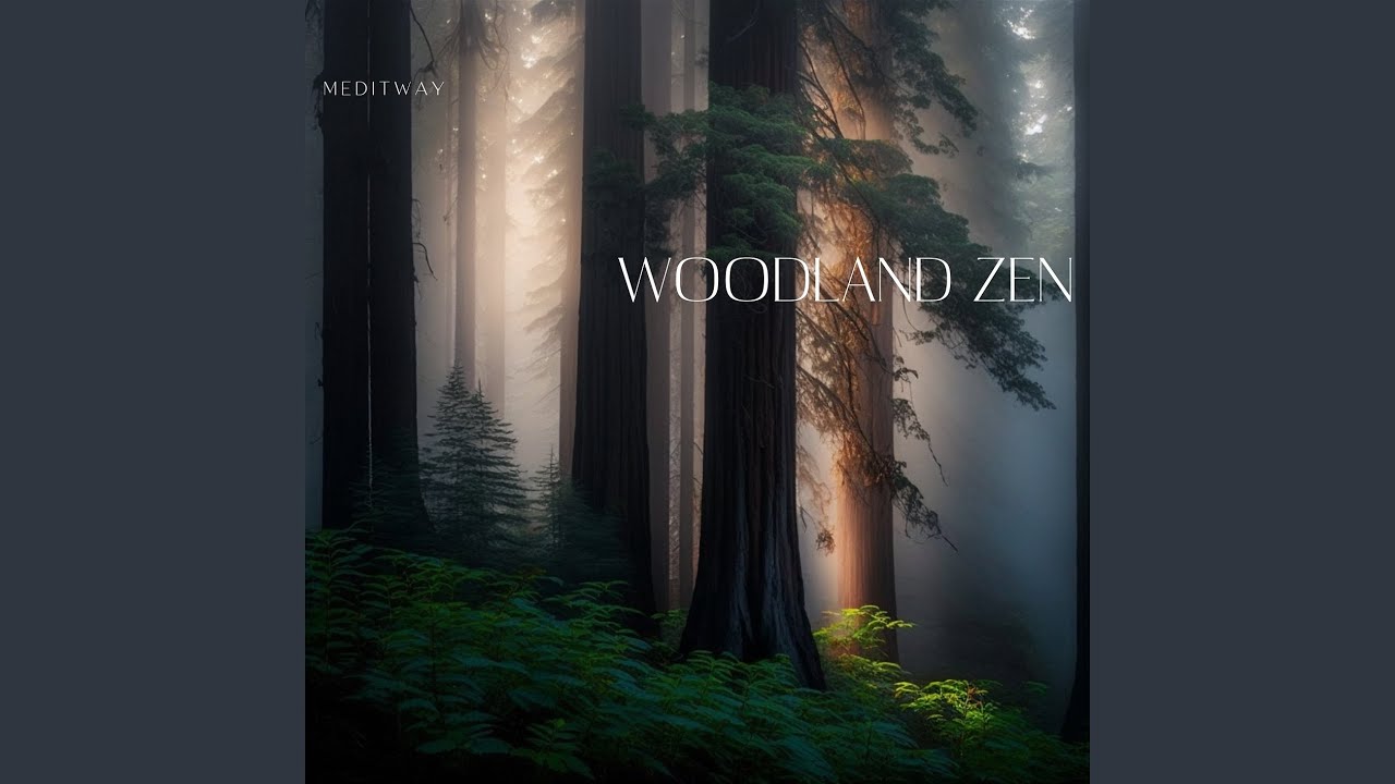 Watch Tranquil Warrior on YouTube Watch Tranquil Warrior on YouTube