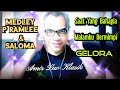 Jom Karaoke Medley P Ramlee & Saloma - Gelora,Malamku Bermimpi & Gelora (Cover)