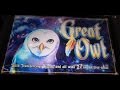 WMS - Great Owl! Great bonus!