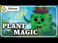 The Magic of Photosynthesis and Cellular Respiration in Plants