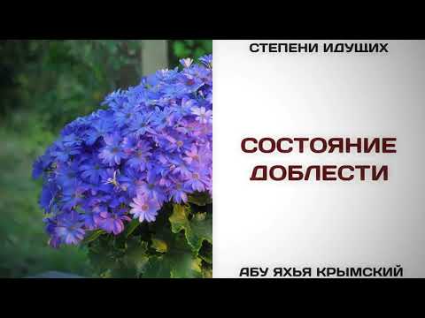 88. Состояние доблести || Абу Яхья Крымский