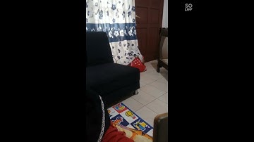 Virtual trip bersama IRD
