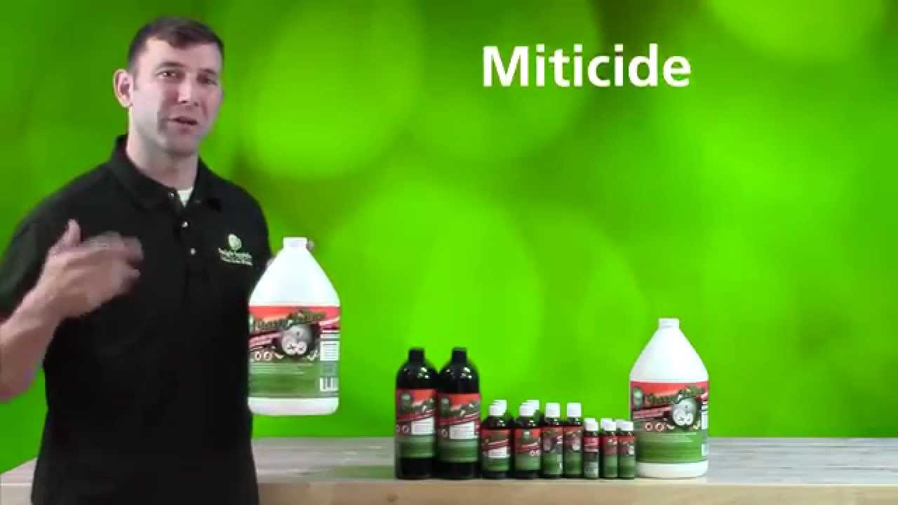 Green Cleaner Spider Mite & Powdery Mildew Killer