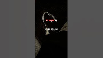 سورة المؤمنون كاملة بصوت خاشع يلامس القلوب | تلاوة تهز المشاعر وتدمع لها العيون | Surah Al-Mu'minun