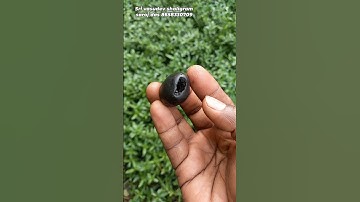 Vasudev shaligram  - shaligram shila - gandaki river shaligram #shorts #short #shortsfeed