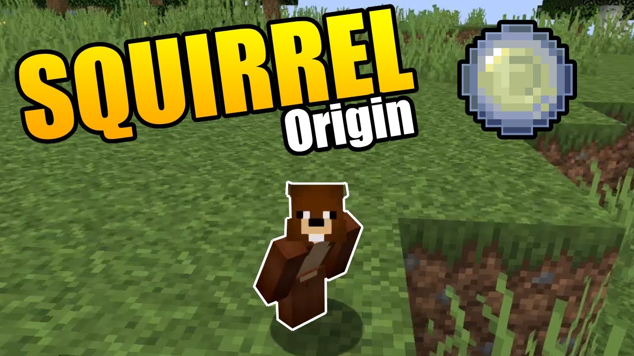 Minecraft Origins Mod Custom Squirrel Origin Datapack Youtube