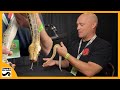 Blood pythons and Short Tailed Pythons with Rich Crowley - Triple B TV Ep.266