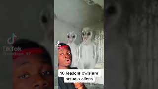 Owls are aliens? 🤯