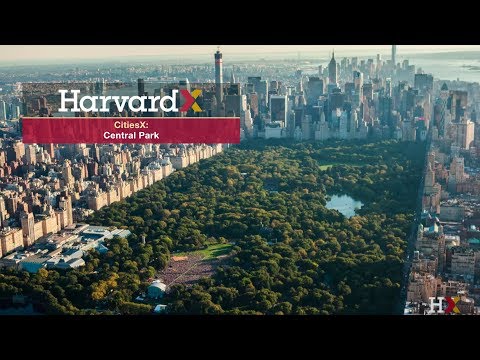Video: Reka Bentuk Alternatif Central Park