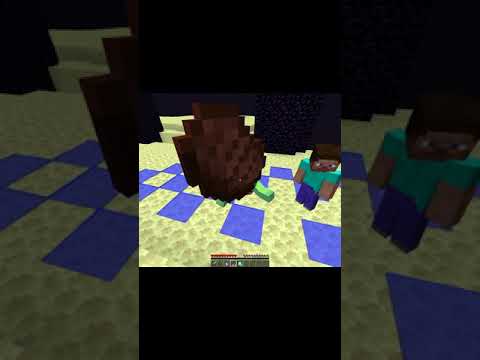 Minecraft: HEROBRINE Saved Me?