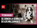 Perrhijos se comen la quincena de los millennials