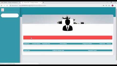 Foreign Verification / Good Standing Letter