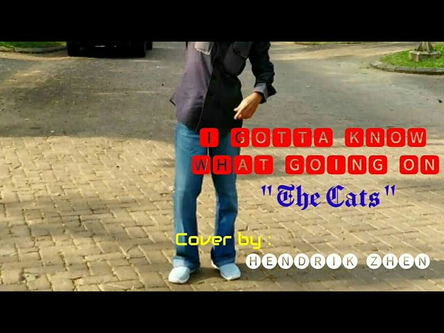 I Gotta Know What Going On - The Cats - Cover by Hendrik Zhen class=