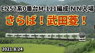 【E257系0番台M-111編成 ＮN入場で武田菱消滅！】