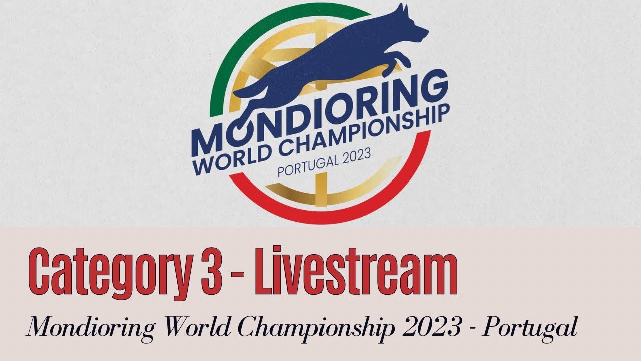 World Championship Mondioring FCI Portugal 2023 - category 3 - day 2 - pt. 3