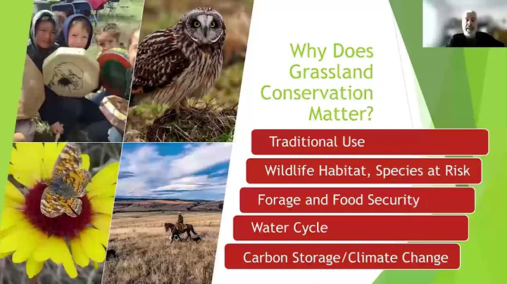 Invasive Species in Agriculture: Impacts of Invasive Plants on B.C. Grasslands