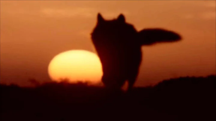 Mindset - Chasing Sunsets (Original Mix)