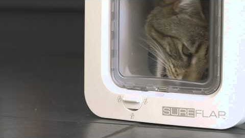 How to complete the learn mode on your SureFlap Microchip Cat Flap