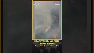 Spain Wildfire Disaster: 11 Dead, 19 Missing as Massive Blaze Sweeps Almeria