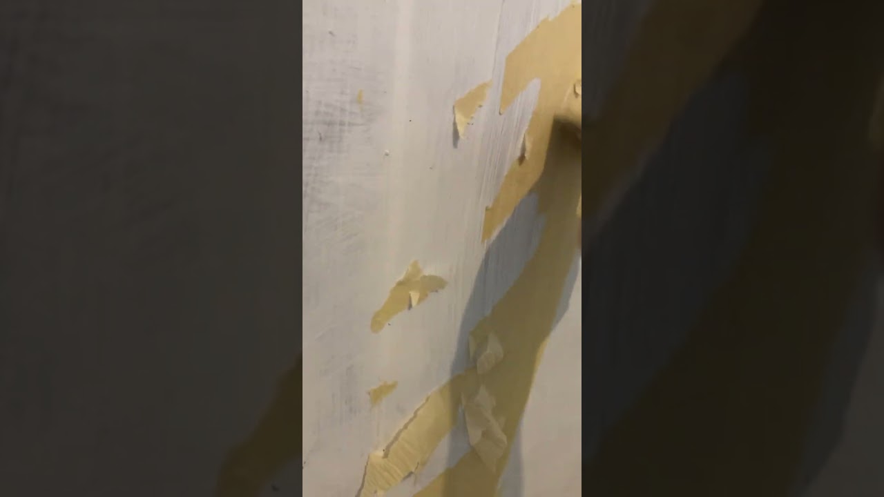 30 minutes of 🤫 ASMR Spraying, Scraping & Whispering Home Improvement Sounds 😌