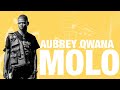 Aubrey Qwana - Molo (Lyrics)