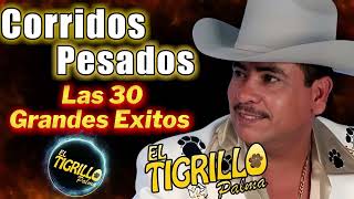 Las 30 Grandes Exitos De El Tigrillo Palma - Corridos Pesados