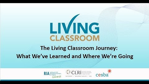 Levende Klas - Video van de Stem van de Bewoner