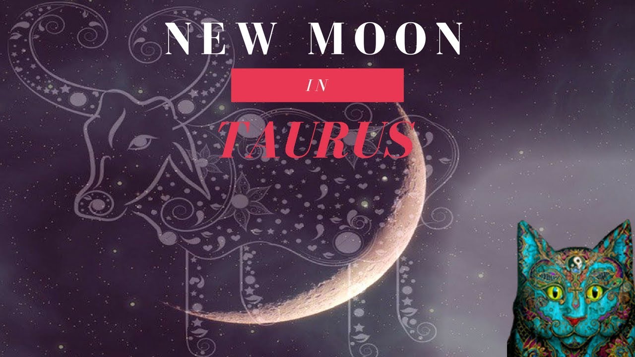 twinflames1111 💞 NEW MOON IN TAURUS MAY 15